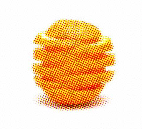 sinaasappel_raster